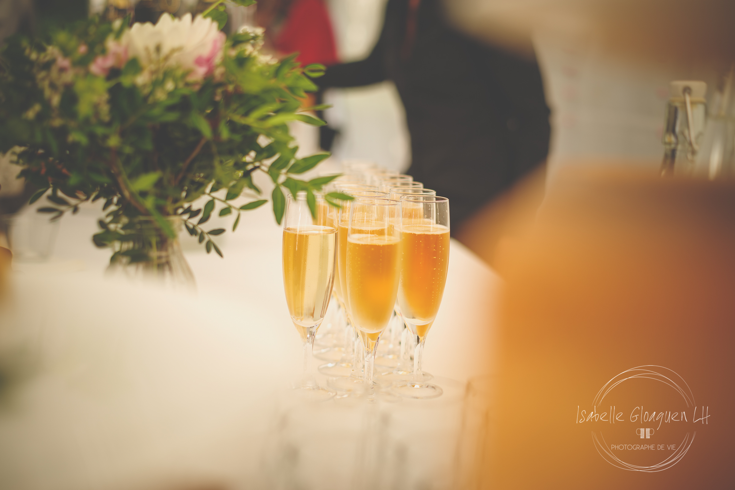 Photographe-Mariage-Bretagne-gloaguen-C&S-225